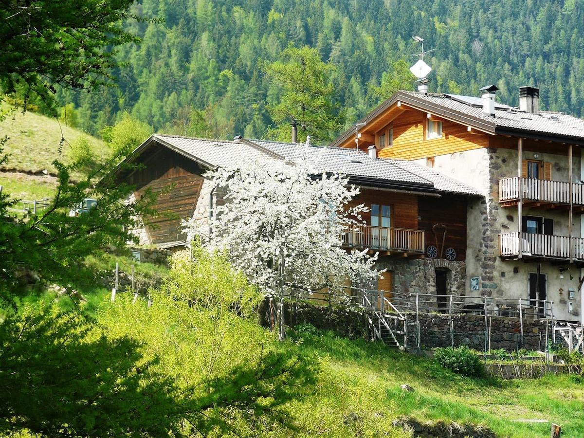 Baita Cavecia Villa Sant'Orsola Kültér fotó