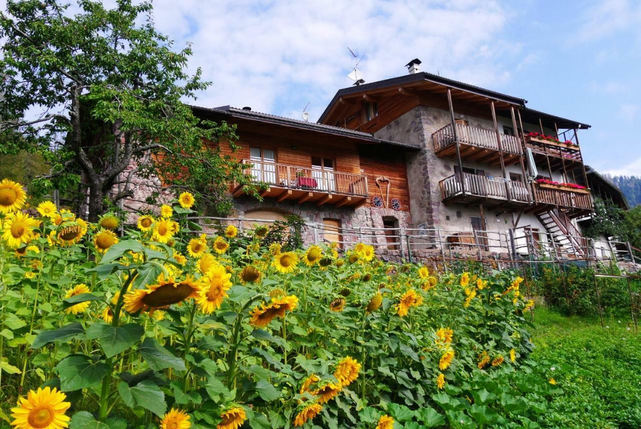 Baita Cavecia Villa Sant'Orsola Kültér fotó